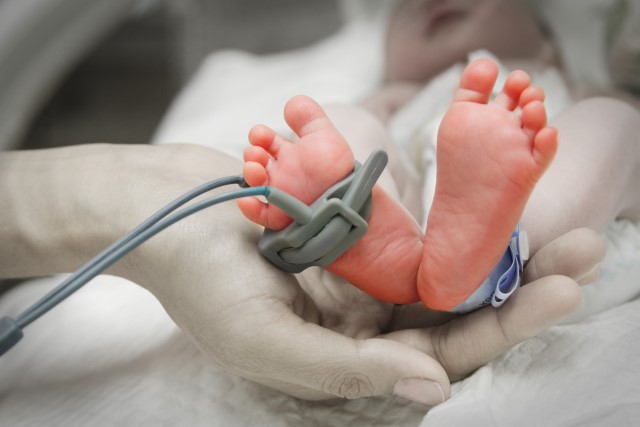 Baby feet in mother's hands