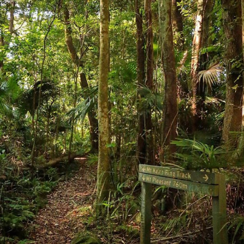 Mount Keira Ring Track, Wollongong