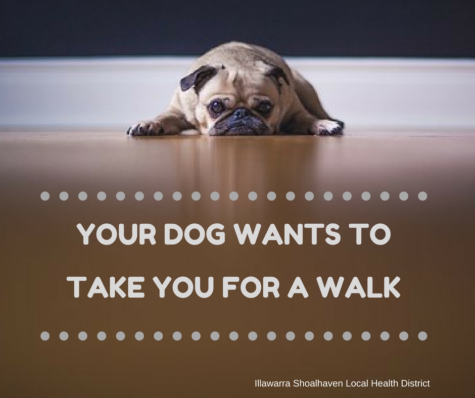 Your dog wants to take you for a walk - healthy grab