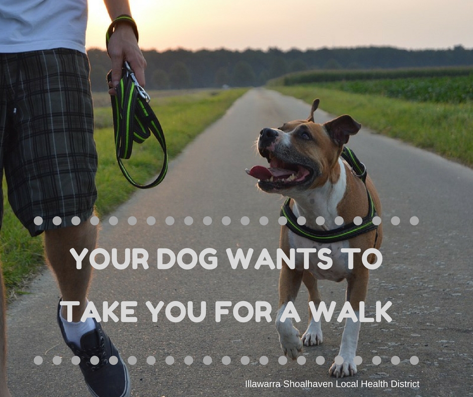 Your dog wants to take you for a walk - healthy grab