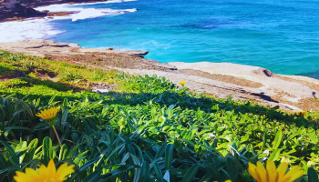 Coastal walks