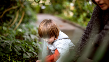 Gardens and National Parks