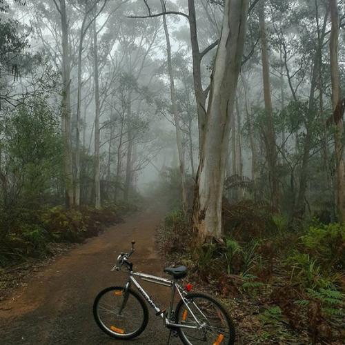 Budderoo Track, Jamberoo