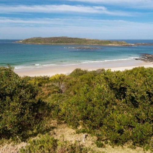 Image of Coastal walk on Country 