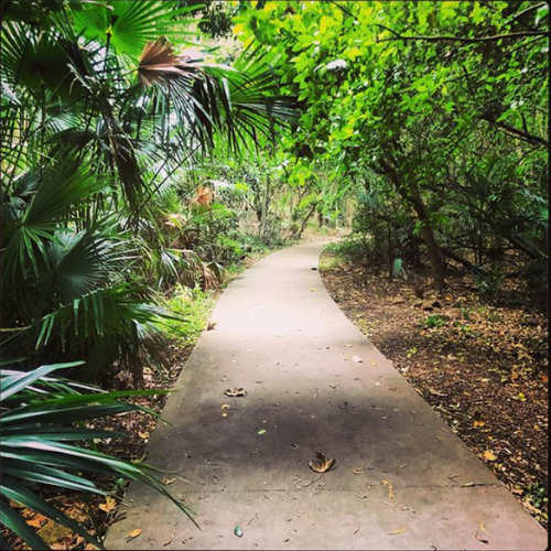 Image of Bonaira Native Gardens, Kiama