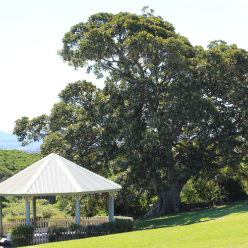 Image of Killalea Regional Park, Shellharbour