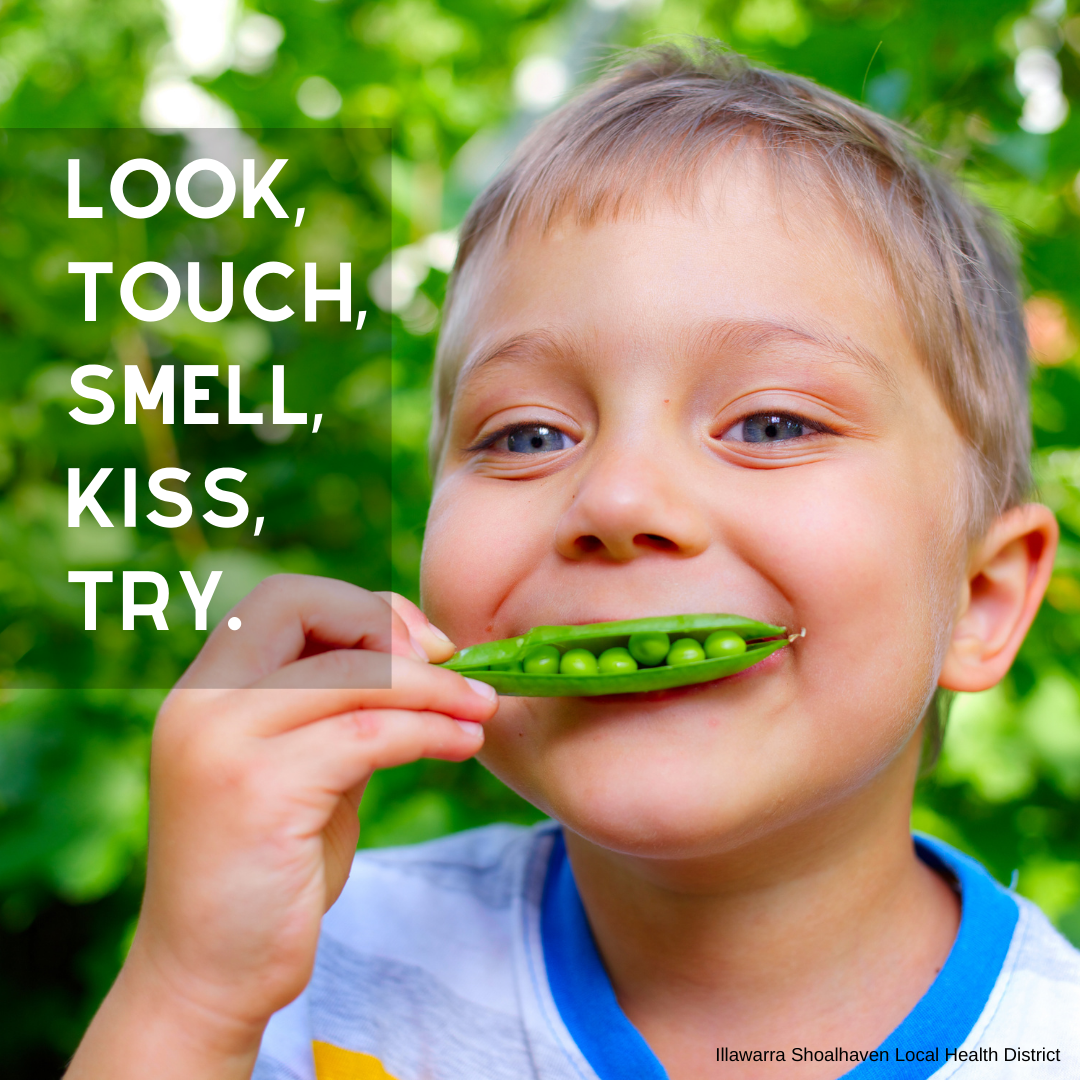Look, touch, smell, try