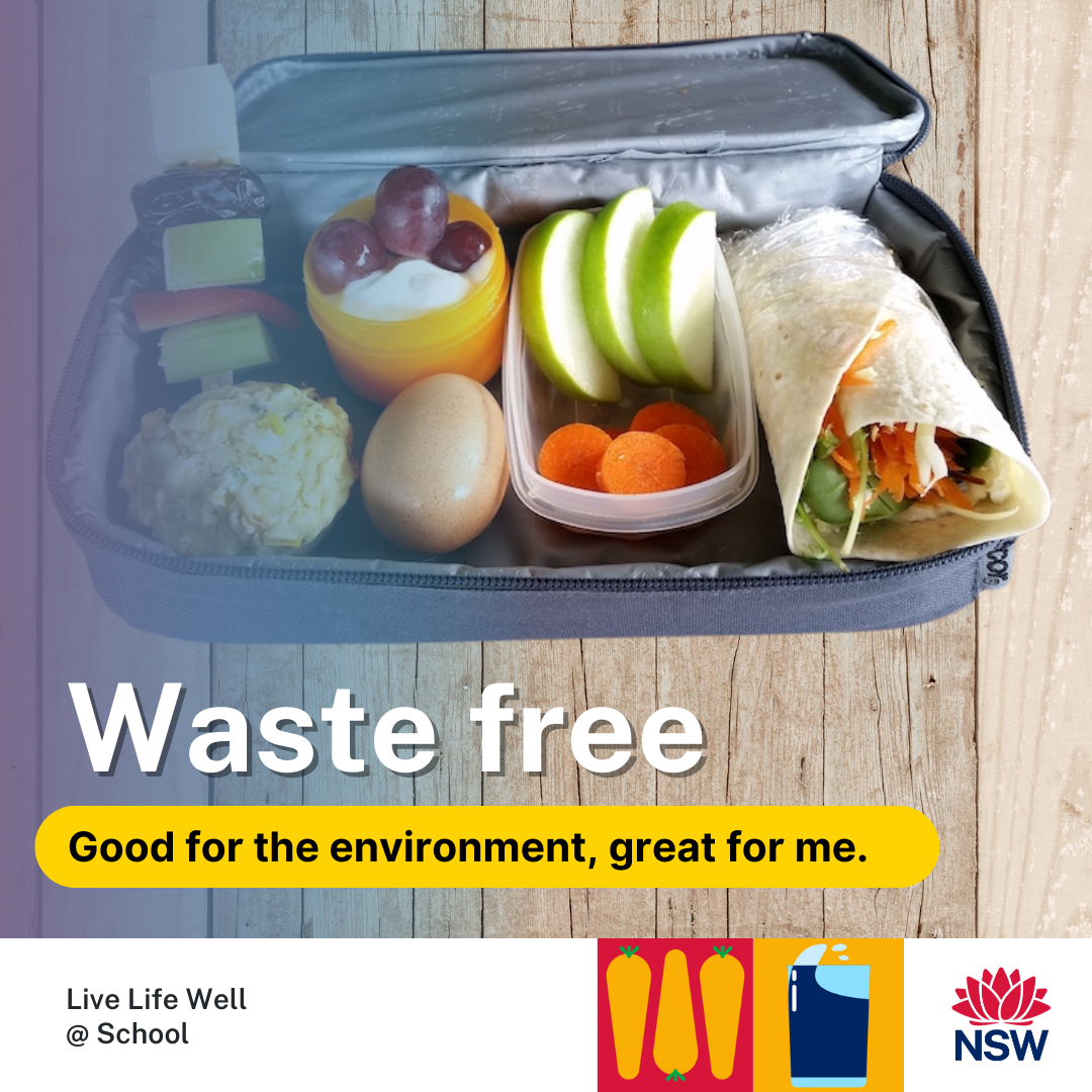 Waste free lunches
