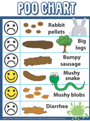 Poo chart