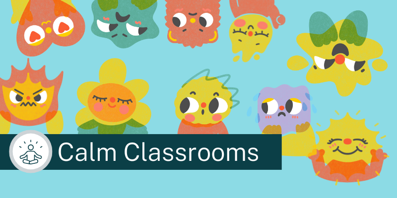 Calm Classrooms: Understanding sensory processing and managing complex behaviours