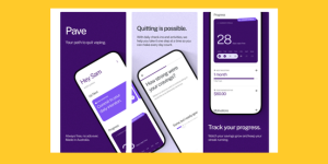 PAVE app