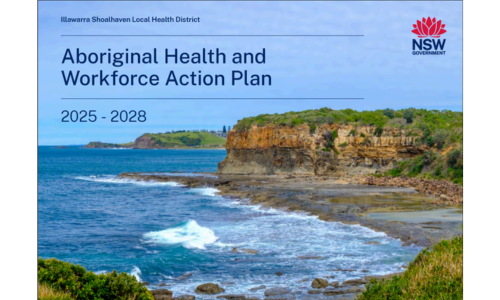 Cover of Aboriginal Health and Workforce Action Plan