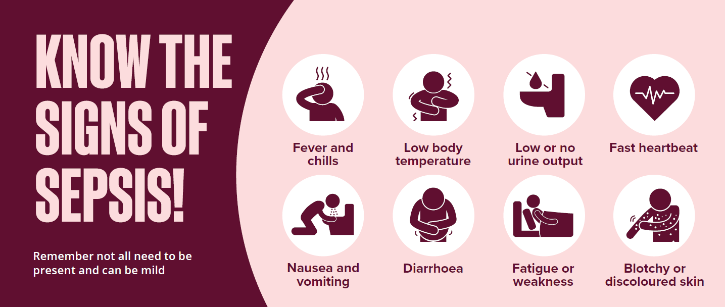 A visual diagram of the signs of sepsis