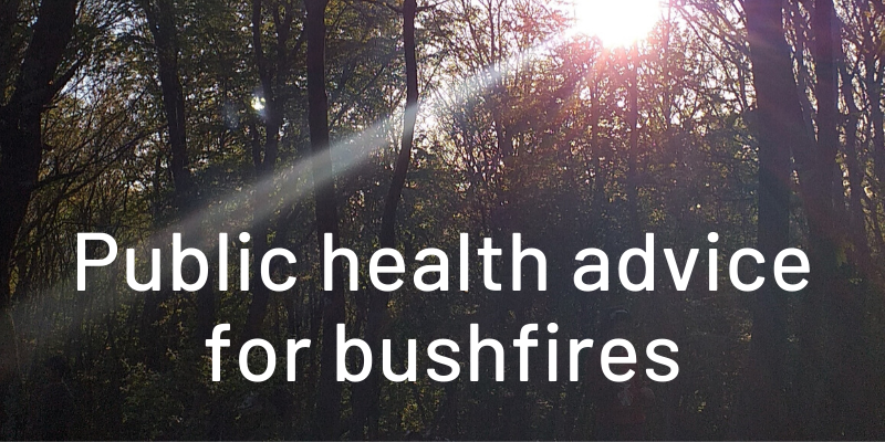 Tree background image with the words Public health advice for bushfires