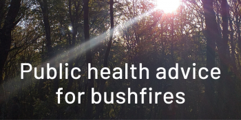 Tree background image with the words Public health advice for bushfires