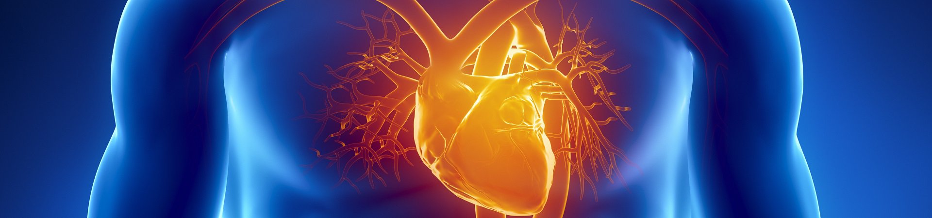 Cardiology graphic