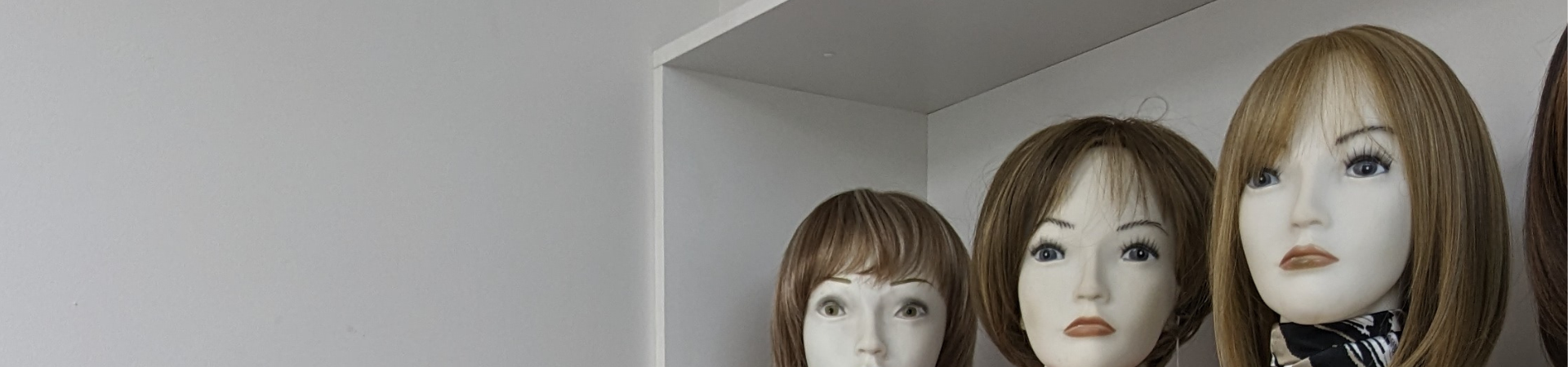 Mannequins with wigs
