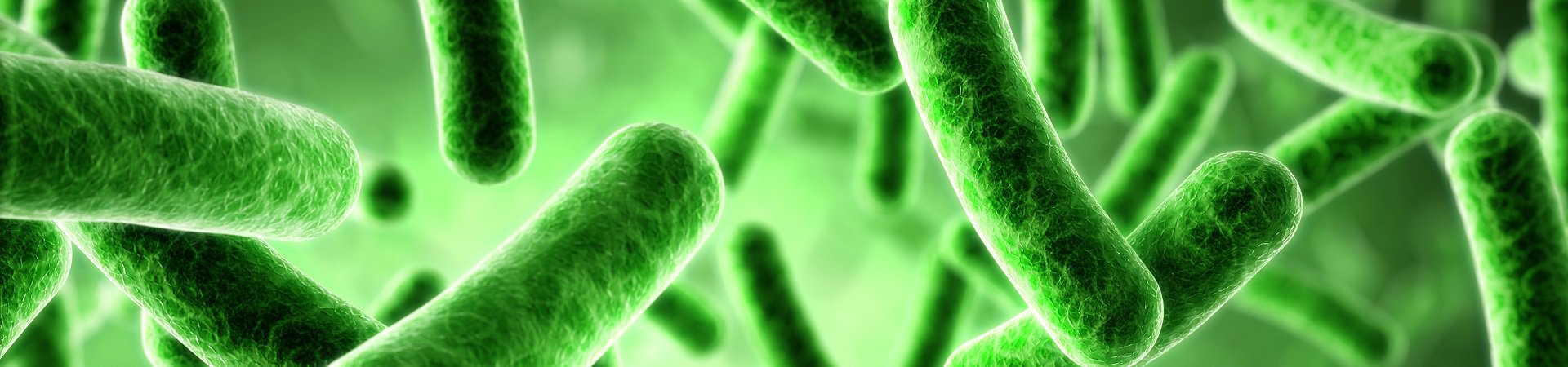 bacteria graphic