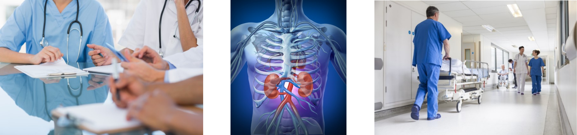 Patient consult, kidney diagram and hospital hallway